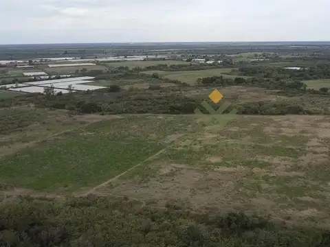 Campo Hortícola en Venta en Apolinario Saravia