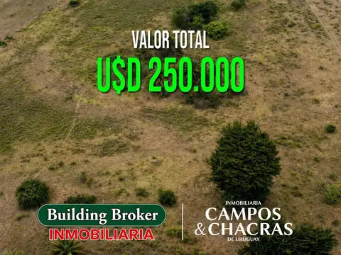 Ruta 1 Km 133.300