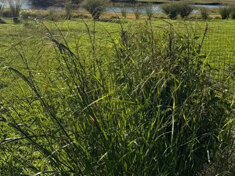 VENTA DEPARTAMENTO 2 DORM CON BALCON, B° CANALES