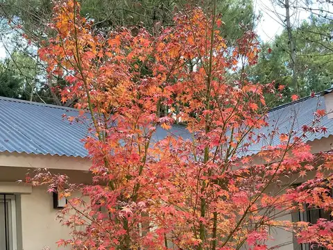 Linidisima casa en Carilo cerca del golf, con hermoso bosque.