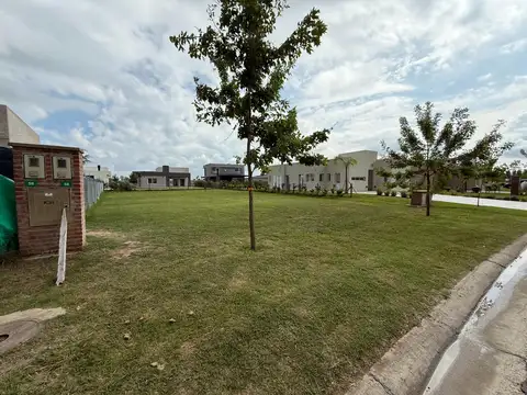 El Deslinde