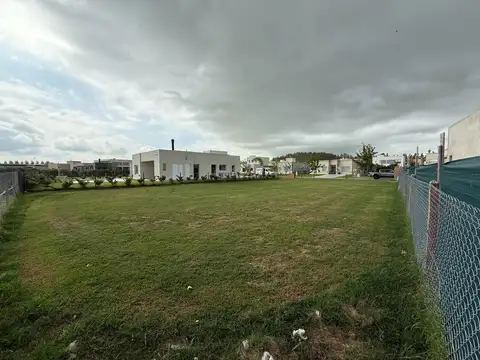 El Deslinde