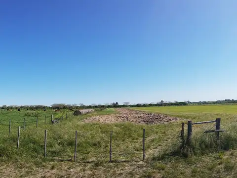 3,6 has Chacra en Villa Elisa ER