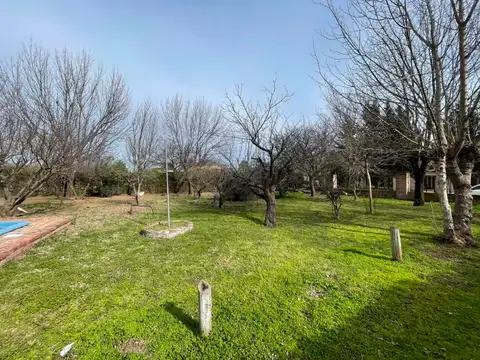 Cachirla 5100