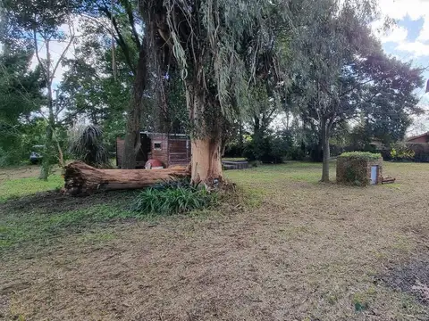 Casa en Alquiler 46 años