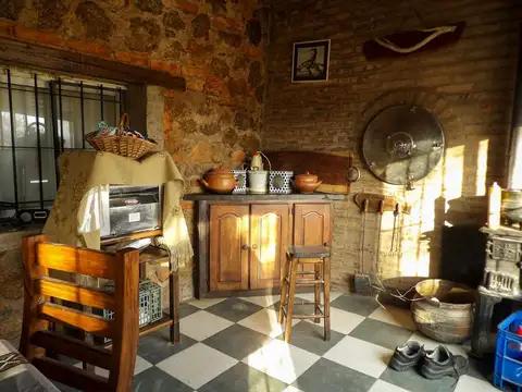 VENTA CAMPO 20 HECTAREAS EN LOS MOLLES - SAN LUIS