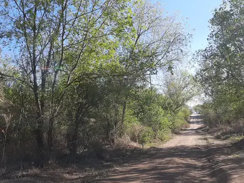 Terreno en Venta 38  mts Frente
