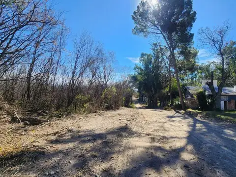 El Mirador 100