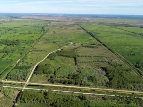 Campo en Venta 340 has en Paranacito Entre Rios, a 1500 metros de RN12