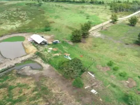 Campo en Venta 340 has en Paranacito Entre Rios, a 1500 metros de RN12