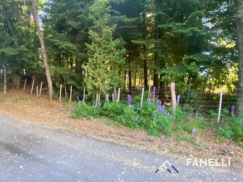 Terreno en Venta en Puerto Manzano, USD 126.000