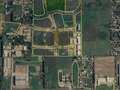 RUTA 101 100