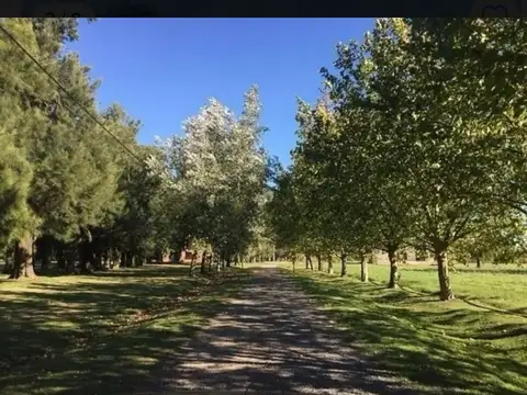 Terreno en Venta de 12000,0 m2