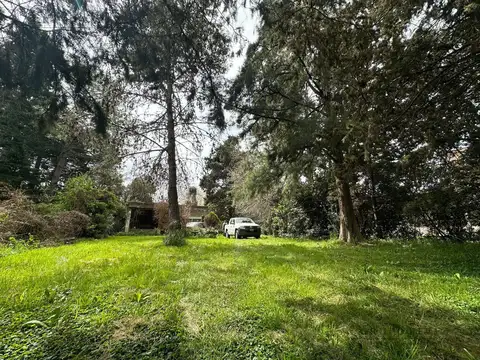 Quinta en Venta en Juan María Gutiérrez, USD 75.000