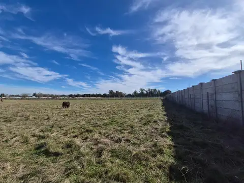 Terreno en Venta de 980,0 m2