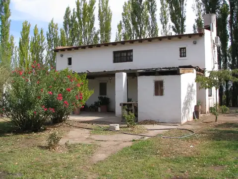 CHACRA 5,8 HAS FRENTE DE RUTA 22 - CHINA MUERTA