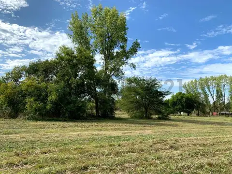 Rio Sauce grande 400, Piso 0