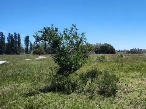 Terreno en Venta de 23636,0 m2