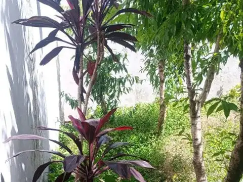 Terreno en Venta 25  mts Fondo