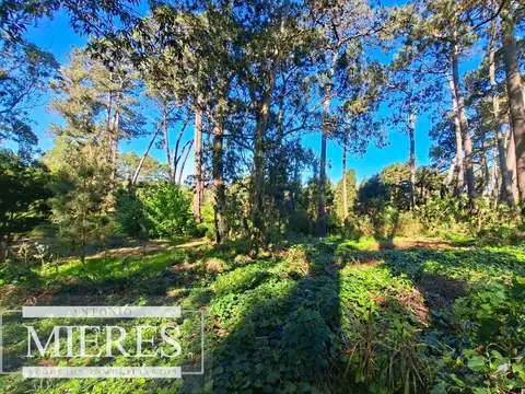 Terreno en Venta en Aigua, USD 675.000