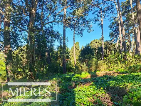 Terreno en Venta en Aigua, USD 675.000