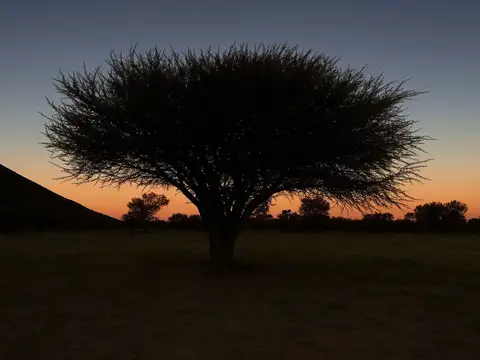 Terreno en Venta de 858,0 m2