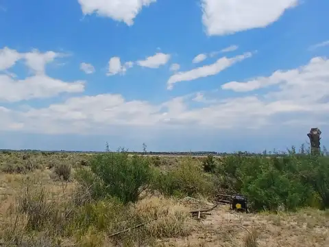 Campo en Venta de 2,50  ha