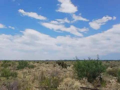 Campo en Venta de 2,50  ha