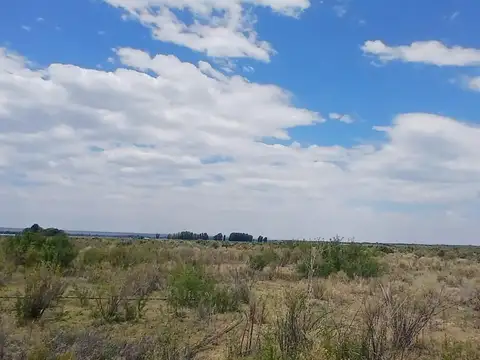 Campo en Venta Chacra