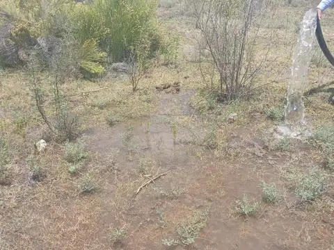 VENTA DE CAMPO