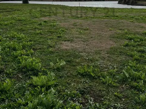 63 e/ Autopista Buenos Aires La Plata y Costanera del Rio de La Plata 7800