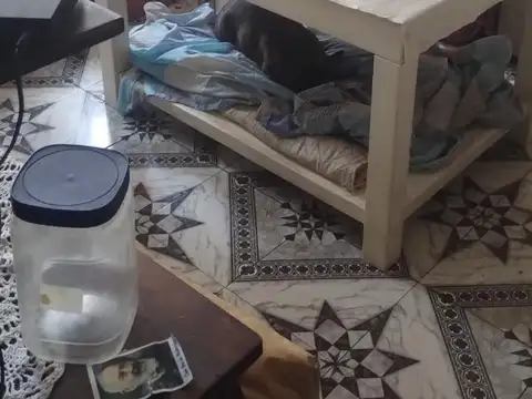 Lafuente 1500, Piso 4