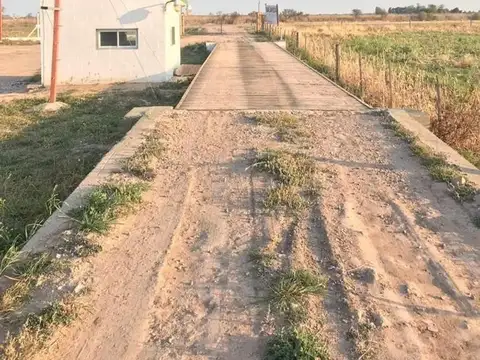 Balnearia