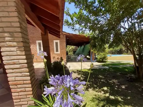 Sakura Jose Ingenieros 800