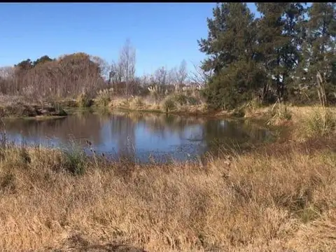 VENTA lote 2048 mts2 - Club de Campo LA AMANECIDA, Exaltacion de la Cruz