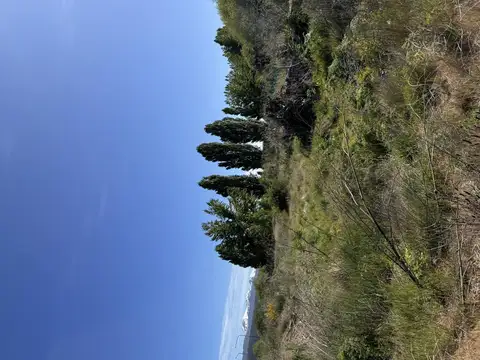 Boulevares Manzana 8 parcela 3