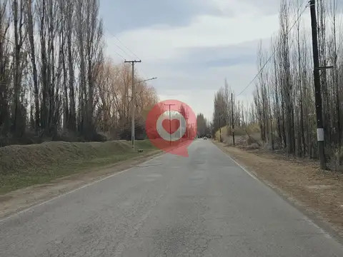 VENTA 5 Hectáreas con Chalet en Centenario
