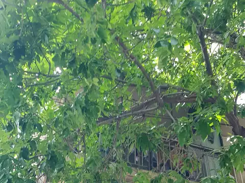 Niceto Vega al 5300 y Godoy Cruz, Palermo Soho. Piso 2 por escalera. Muy luminoso 2 ambientes 35 m2. Vista abierta. Cocina con barra desayunadora. Bajas expensas. Apto crédito.