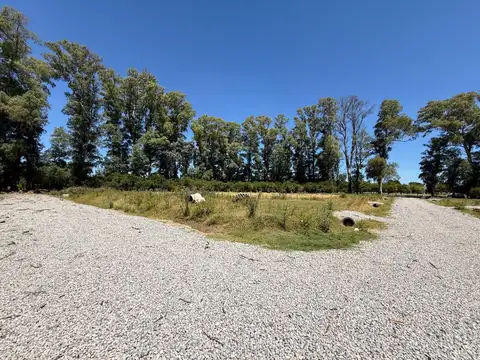 Terreno en Venta en Plomer, USD 24.900