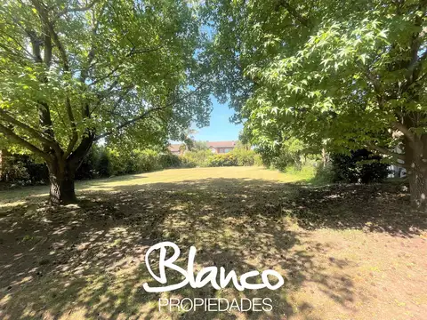 Terreno en Venta de 800,0 m2