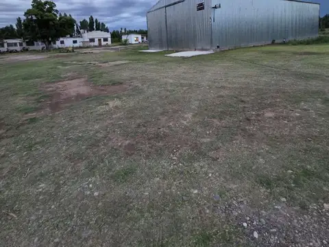 Terreno en Alquiler en General Roca, USD 2.800