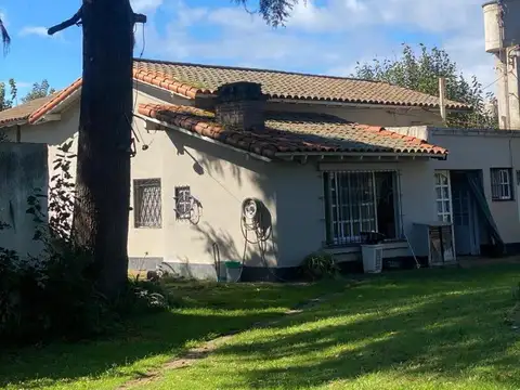 Almafuerte 100