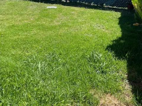 Alquiler por 12 o 24 meses