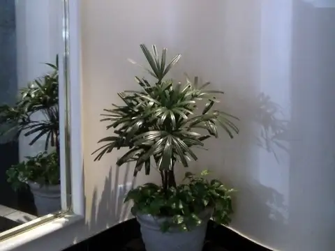 Depto Tipo Casa en Alquiler de 2 ambientes