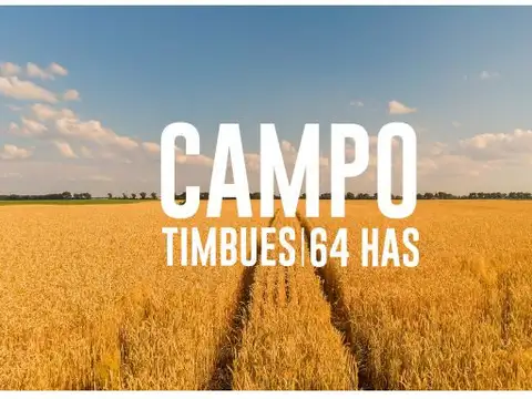Campo en Timbues, Santa Fé. Ideal urbanización