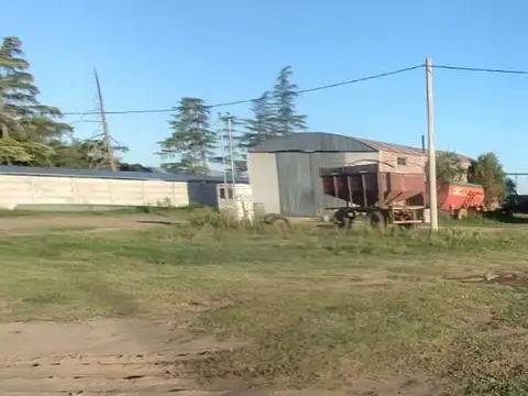 Acceso Tomás S. Fraire 100