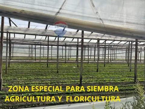 CAMPO EN VENTA 4 HECTARIAS ABASTO LA PLATA CHACRA