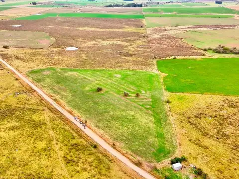 Venta 37 hectáreas próximo a Ruta 5