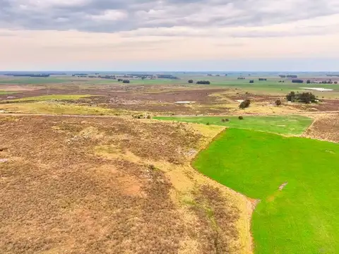 Venta 37 hectáreas próximo a Ruta 5