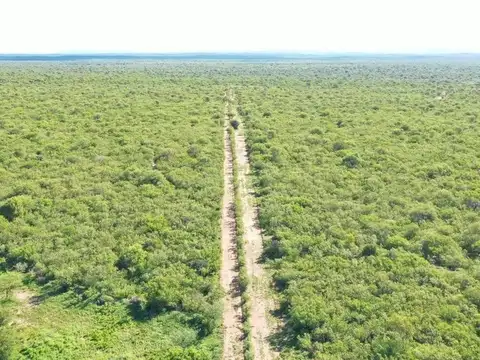 Campo 94 ha en venta Villa de Soto